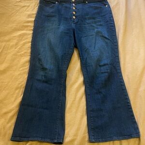 LOFT Dark Blue Ankle Jeans